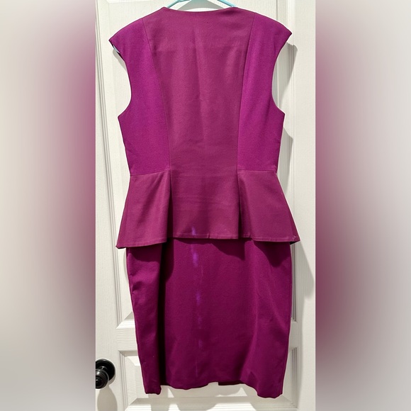 Ted Baker London Jamthun Full Zip Front Peplum Dress ZB6 - Picture 6 of 9